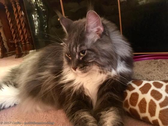 Baxter, October 24, 2017wtmk