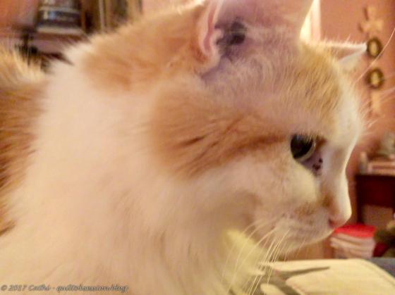 Jake, November 15, 2017wtmk