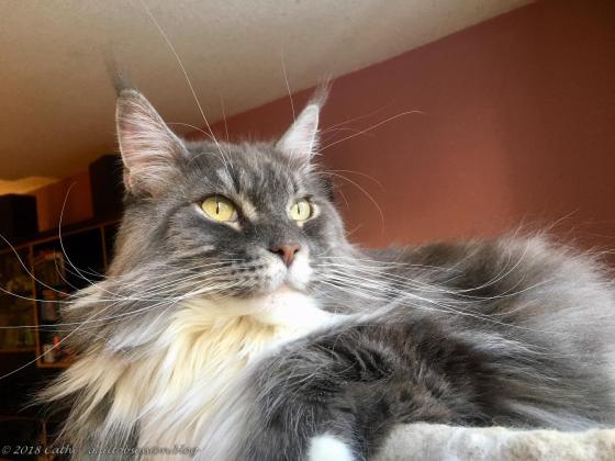 Baxter December 30, 2017wtmk