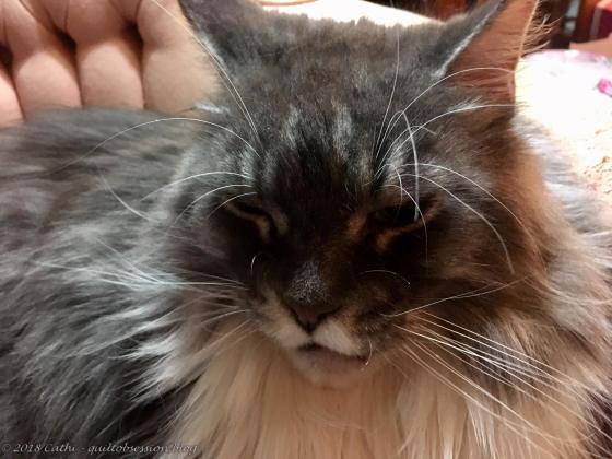 Baxter, January 21, 2018wtmk