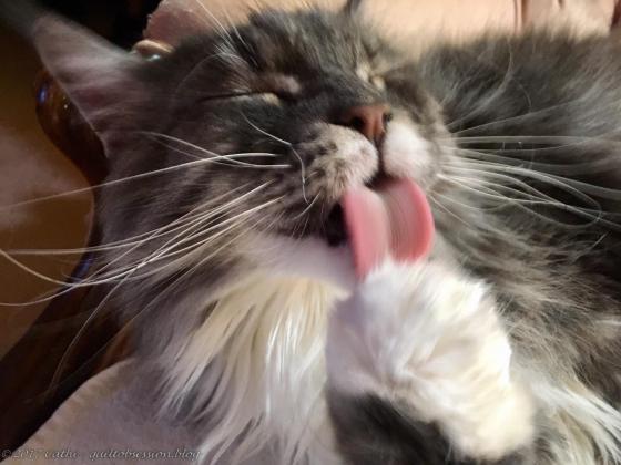 Baxter February 13, 2018wtmk