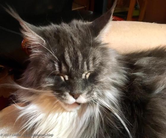 Baxter, February 18, 2018wtmk