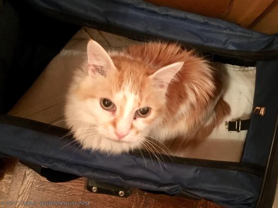 Jake, February 16, 2018wtmk