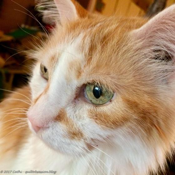 Jake February 22, 2018wtmk