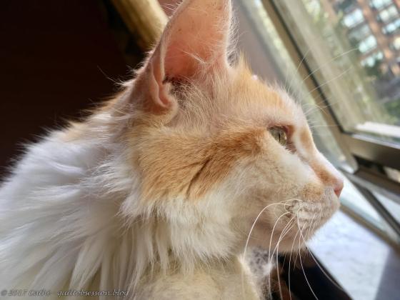 Jake, February 27, 2018wtmk