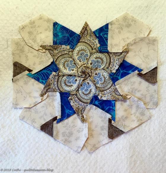 Back of brown & blue IMG_1299wtmk