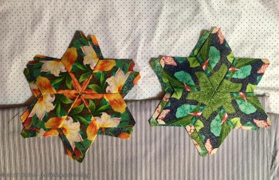 Some StarsIMG_1337wtmk