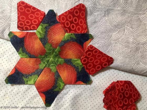 Star with red kite IMG_1340wtmk