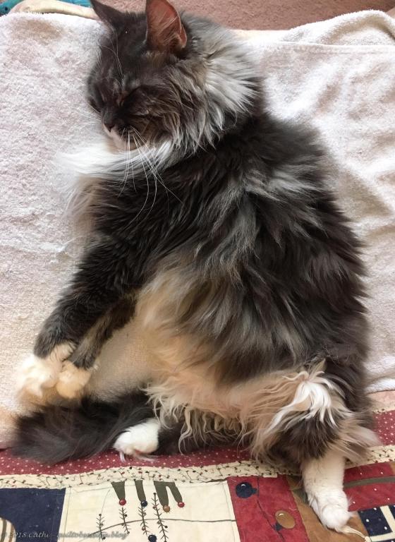 Baxter, April 17, 2018 IMG_1541wtmk