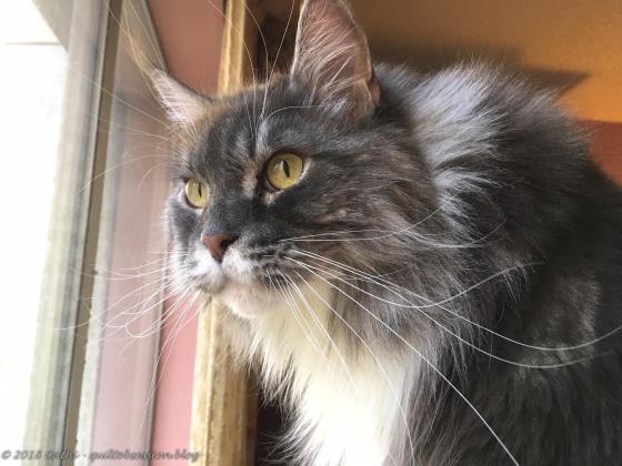 Baxter April 2, 2018wtmk