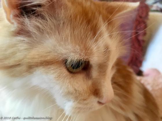 Jake, April 1, 2018wtmk