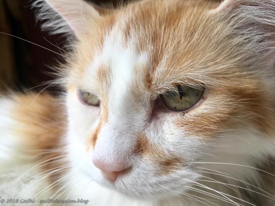 Jake, May 11, 2018 IMG_1633wtmk