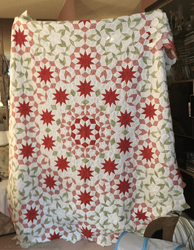 Dancing Poinsettia TopIMG_3118wtmk